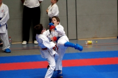 Int Karate Cup Open 2007