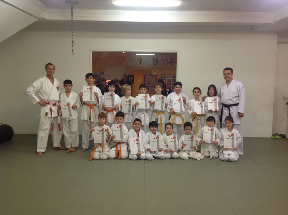 Am 20.11.2013 fand die Karate Gürtelprüfung statt.